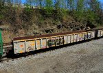 CSX 491011